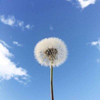 芯片股抛售加剧 谷歌公布可大幅降低内存需求的技术突破